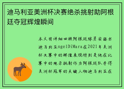 迪马利亚美洲杯决赛绝杀挑射助阿根廷夺冠辉煌瞬间 迪马利亚美洲杯决赛绝杀挑射助阿根廷夺冠辉煌瞬间